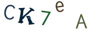 Image CAPTCHA