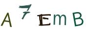 Image CAPTCHA