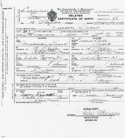 WHAT IS A DELAYED BIRTH RECORD visual data 7