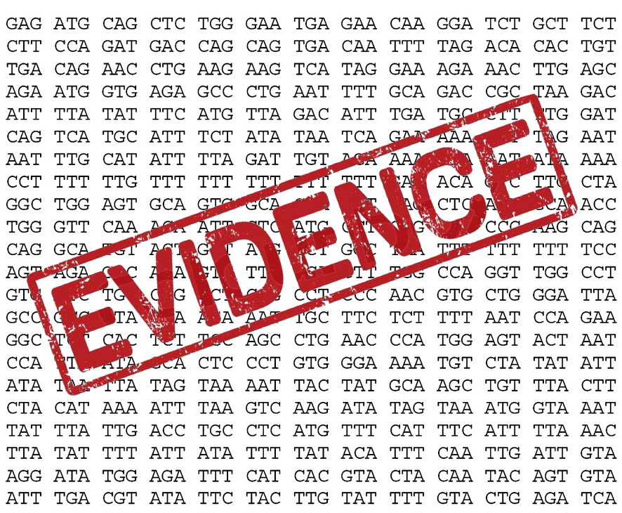 Evidence stamp and dna sequence